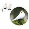 12Pcs/Set Artificial Simulation Foam Bird Set Mini Cute Birds Ornaments Glitter DIY Craft for Home Garden Christmas Tree Decoration