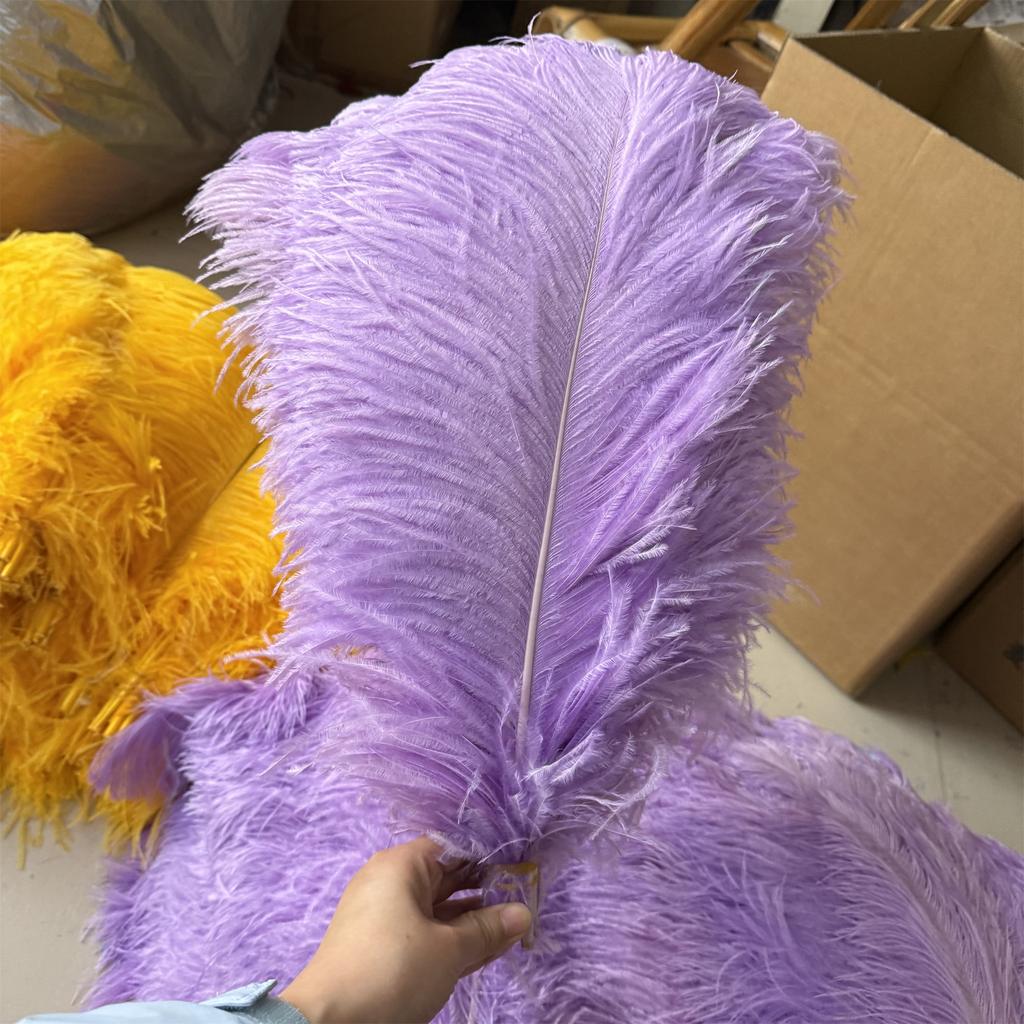10pcslot 55-60cm Ostrich Feather for Crafts Party Wedding Decor Plumes Ostrich Table Centerpieces White Feathers Decoration