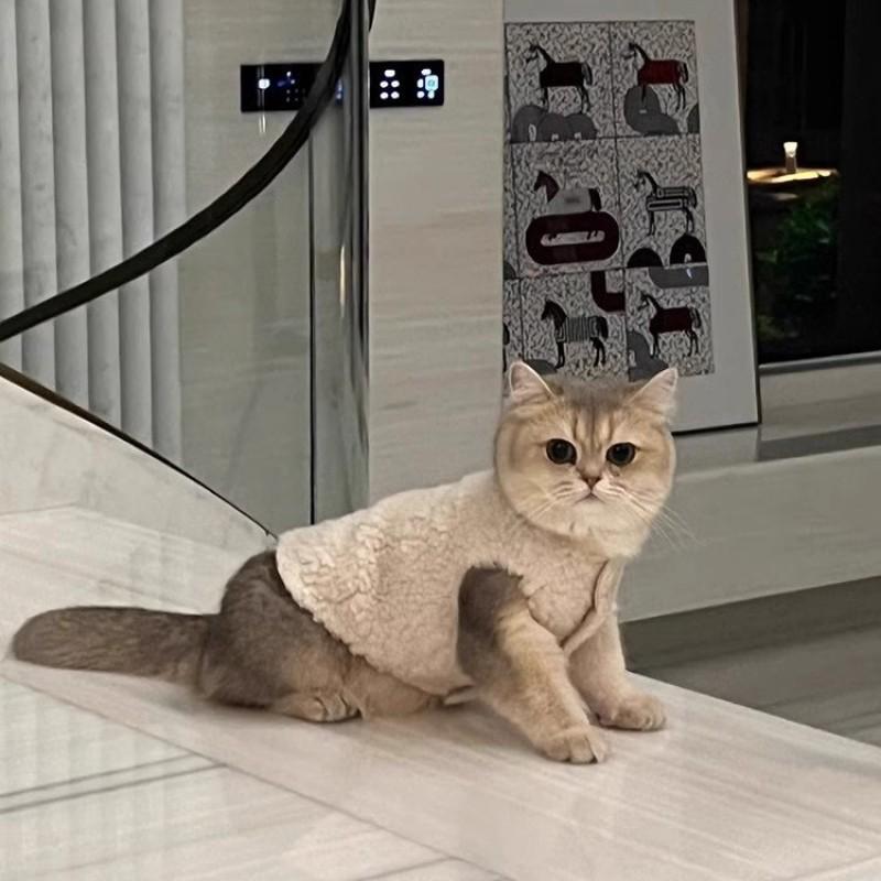 Pet Cat Winter Warm Fleece Vest Jacket Small Medium Large Kittens Soft Plush Inner Lining Ins Style