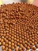 1100 Pc Loose Rudraksha Seeds Beads Nepal Origin, Natural 5 Mukhi 8 Mm, Lord Shivas Tears for Jaap Mala Yoga Prayer Healing Meditation