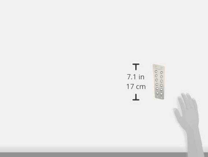 MONSTER SPORT Footrest Clear for Swift Sport Covers, Anodized/Aluminum, Non-Slip, ZC32S/ZC72S (841502-4800M)