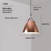 Nordic Luxury Electroplated Pendant Lamp