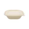 Biodegradable Disposable Food Containers