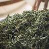 Big Red Robe Oolong Tea 250g Factory Direct Wulong Da Hong Pao Black Tea