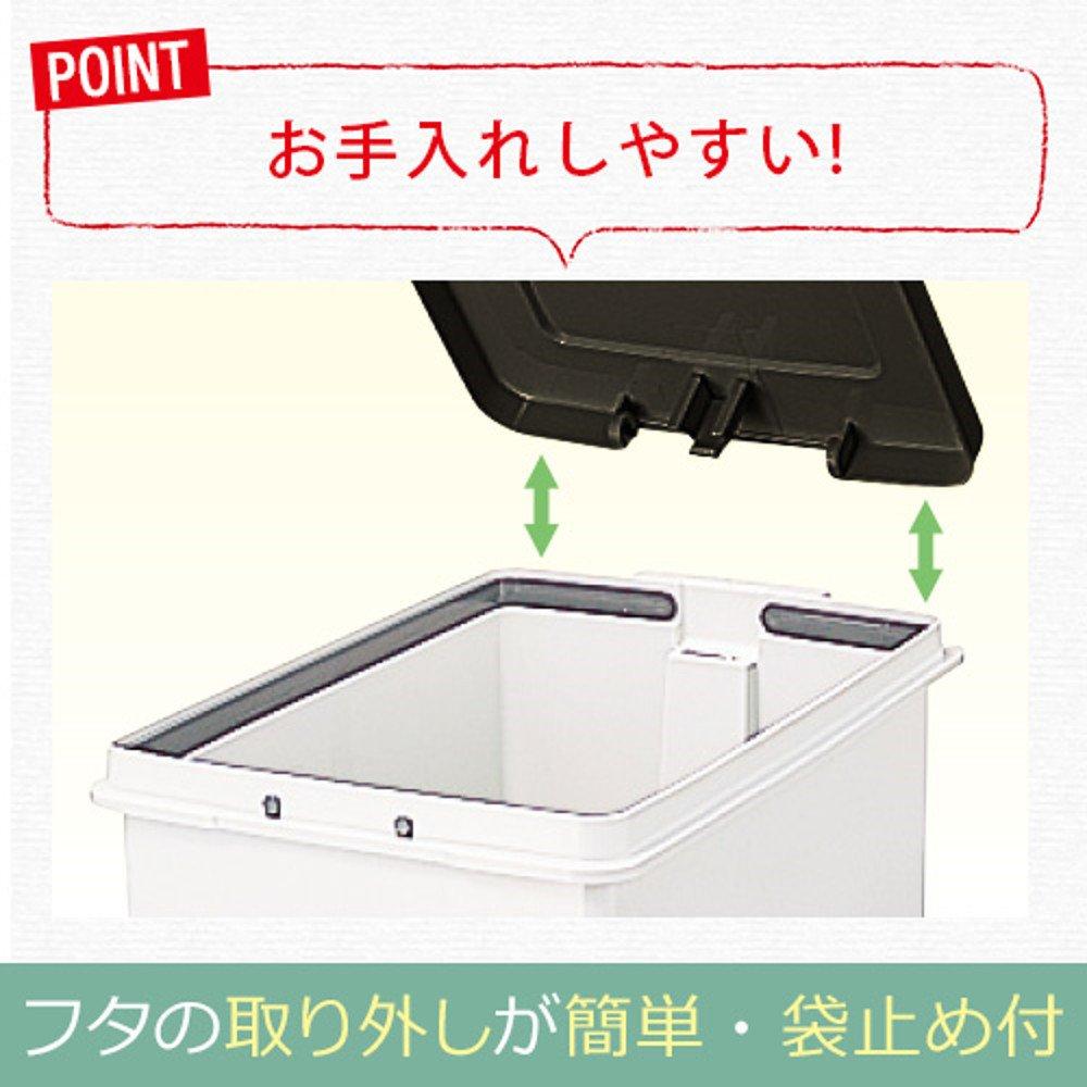 Asbel Trash Can with Odor Resistant Evan Pedal Light Depth Slim A6418 Lid, Wide, Pedal, 45L, Brown,