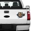 1PC 2D Flat Stickers Tiger Animal Car Stickers Luggage Refrigerator Wall Stickers Laptop Toilet Stickers