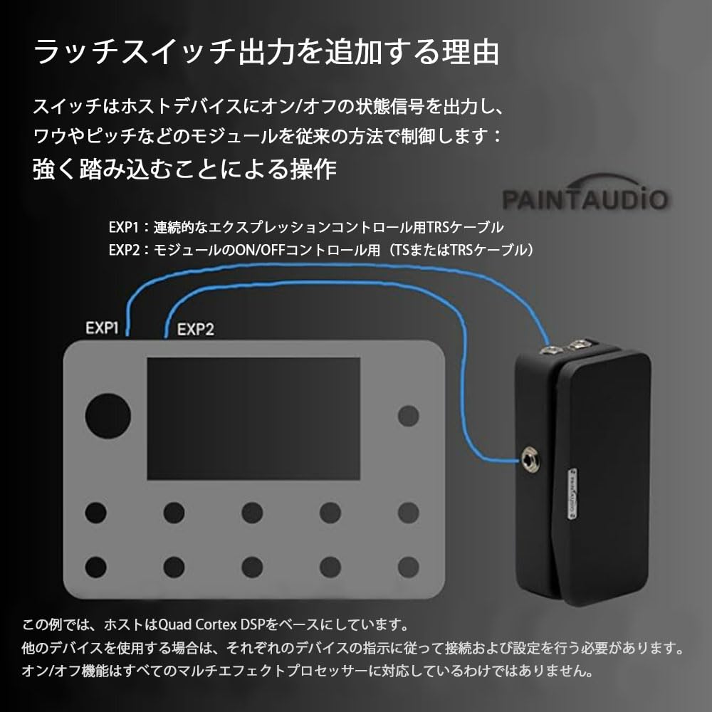 PAINTAUDIO FOOT CAPTAIN SWL Expression Pedal, External Pedal, Extension Pedal Tip and Ring Output Support Additional Latching Switch Signal Output