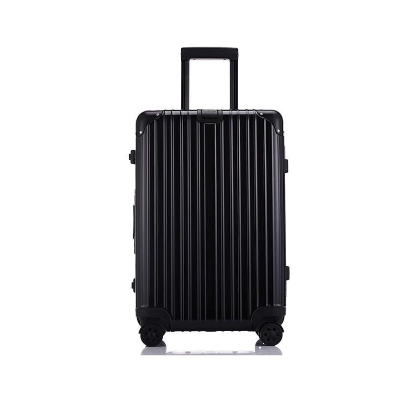 DREAMGIFT Business Hardshell Spinner Luggage