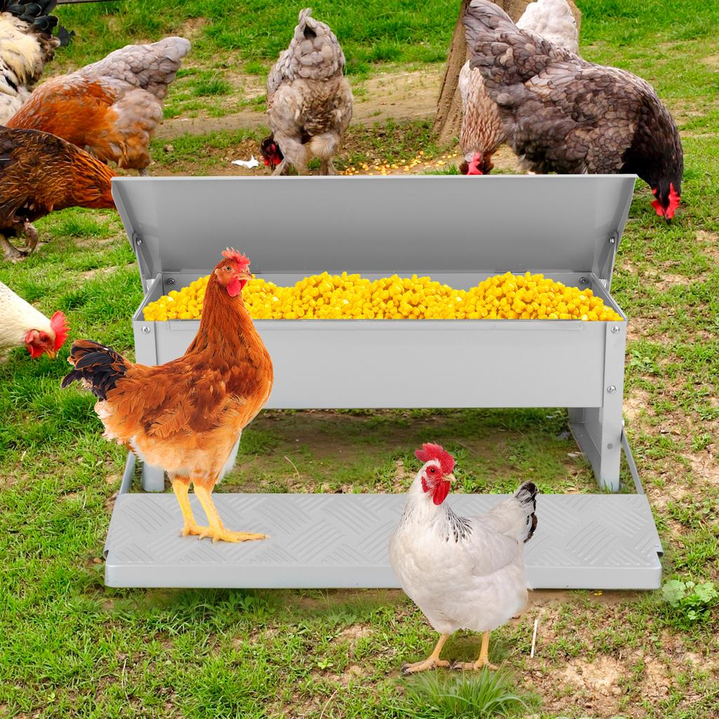 Automatic Chicken Feeder with Weatherproof Lid Treadle Chicken Feeder Metal Chicken Feeder for Chickens Ducks and Geese