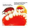 1 Piece Dental Mouth Mirror Oral Examination Mirror Front Surface Ultra Definition with Endo Ruler Refractive Index 99.2% 92% and 85%