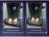 All-Inclusive Floor Mats for Hongqi HS6 PHEV: Car Interior & Trunk Accessories