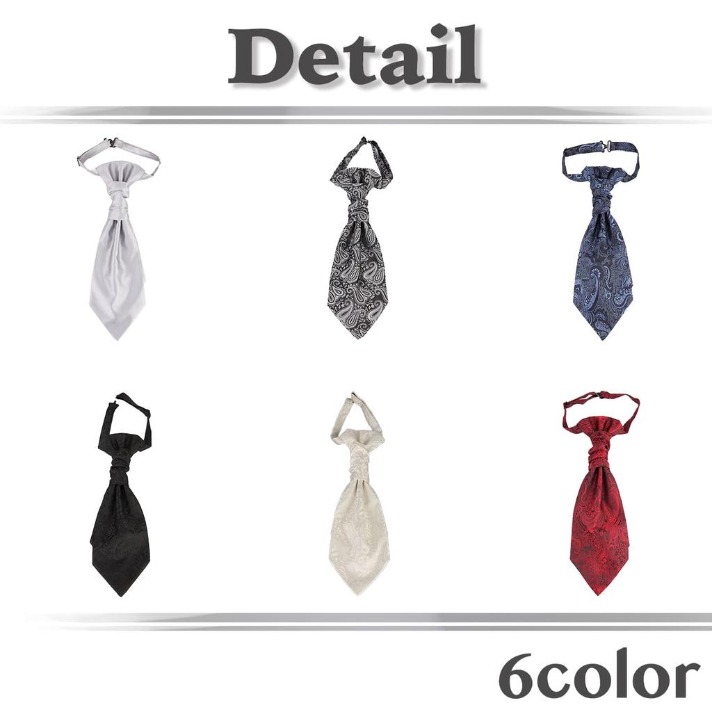 [White Fang] Paisley Pattern Elegant Tie, Business Casual Fashion, Stylish Men's NC069 (Wine)