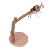 Parrot Standing Stick Safe Natural Detachable Wood Bird Perch Stand with Base for Birds Parrots