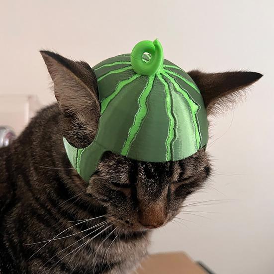Cute Watermelon Cat Hat 3D Printed Cat Cap with Ear Holes Funny Watermelon Cap for Cats Party Costume Photo Shoots