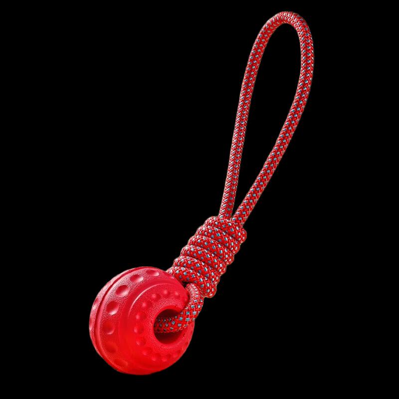 Petlimit Interactive Floating Dog Chew Toy Ball Set