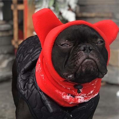 Dog Winter Warm Hat Soft Winter Walking Ear Hoodie Dog Headband Cute Warm Dog Knitted Hat For Cold Weather Outdoor