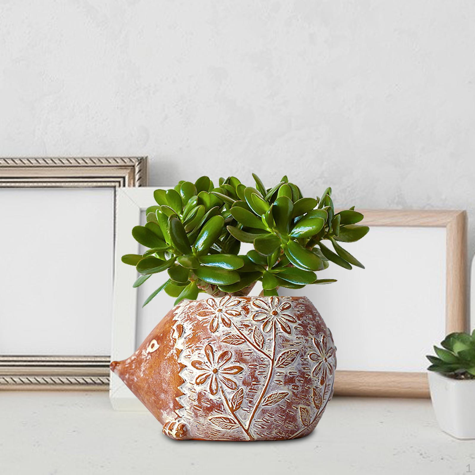 

er for Outdoor Indoor Decoration Hedgehog