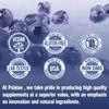 Wild Blueberry Strength 10:1 Extract Capsules - Antioxidant,Vision Health