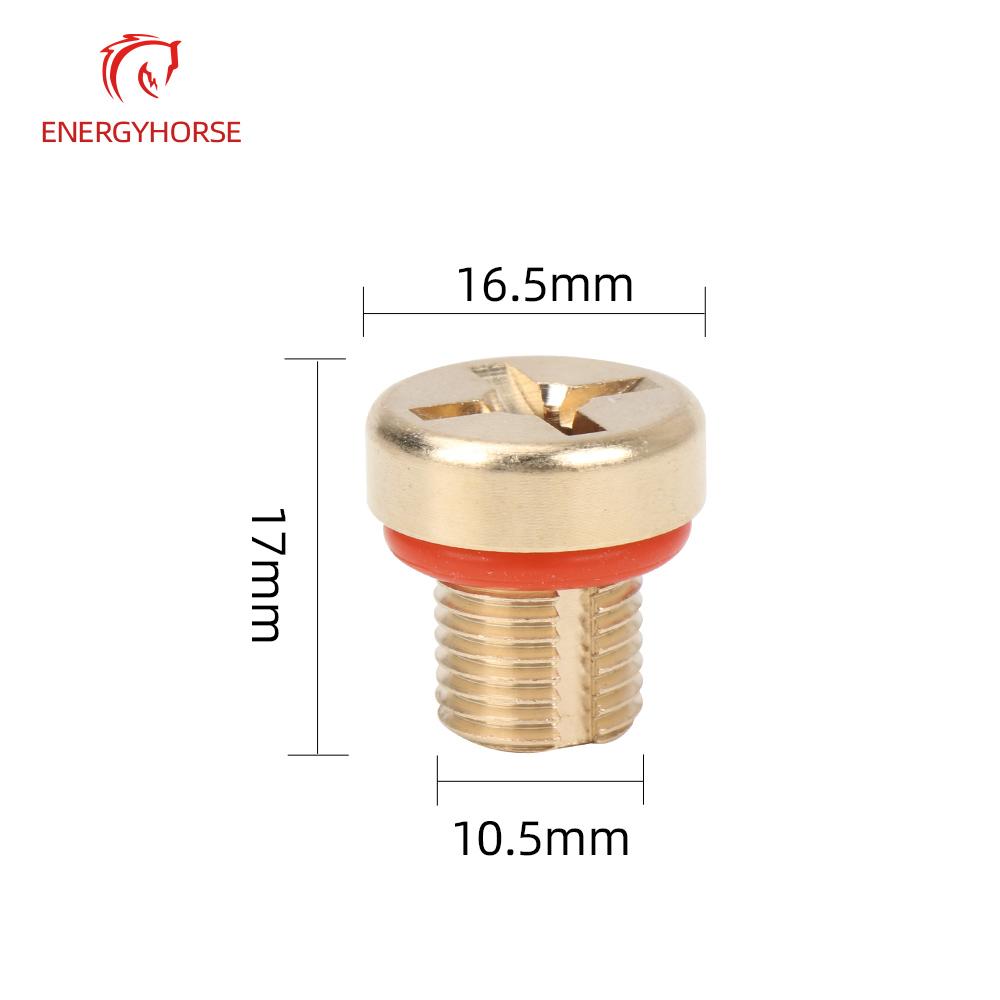 For BMW 5 Series 520 Auxiliary Water Bottle 525 3 Series 7 Series X5X6 Water Tank Return Pipe Bleeding Exhaust Drain Screw