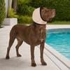 Noise Cancelling Ear Wrap, No Shake Dog Ear Muffs, Noise Reduction Earmuffs from Thunder Vacuum, Dog Calming Ear Wrap for Grooming Bathing Swimming