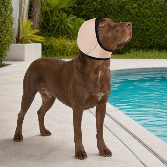 Noise Cancelling Ear Wrap, No Shake Dog Ear Muffs, Noise Reduction Earmuffs from Thunder Vacuum, Dog Calming Ear Wrap for Grooming Bathing Swimming