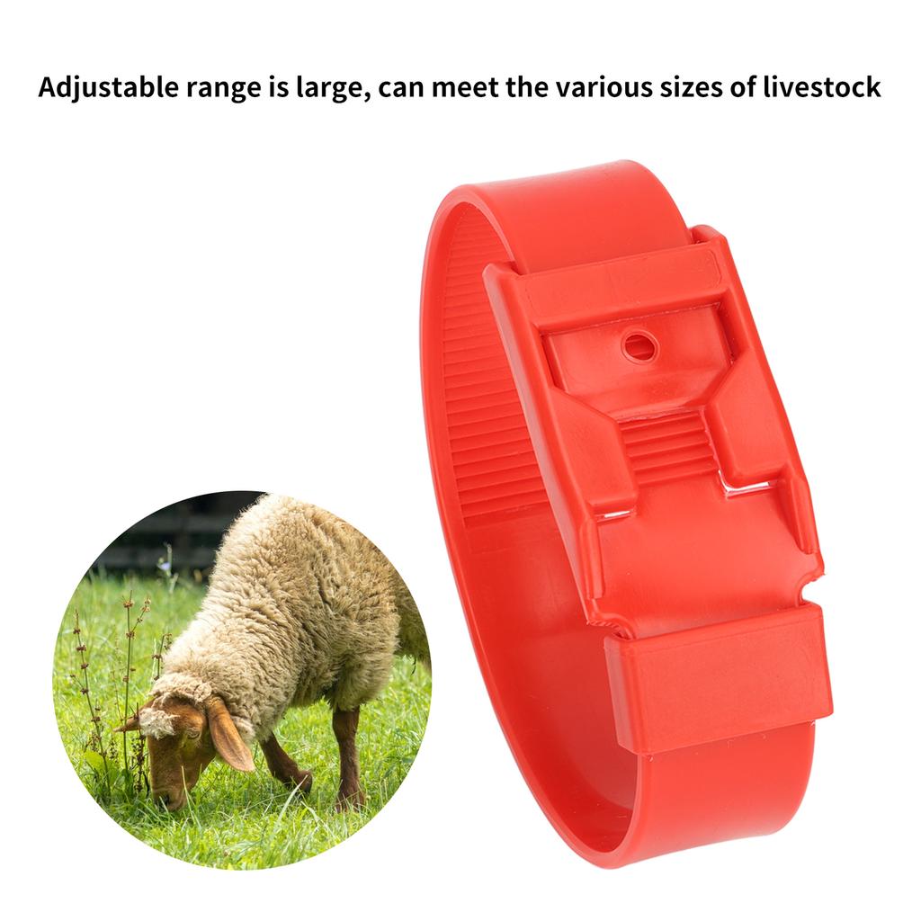 10Pcs Goat Collar Sheep Identification Bands Livestock ing Farming Equipment