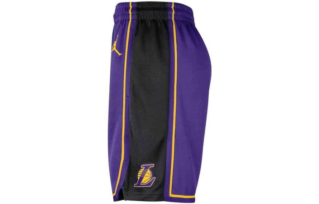Jordan Dri-FIT Mens NBA Swingman Basketball Shorts Purple DO9432-504