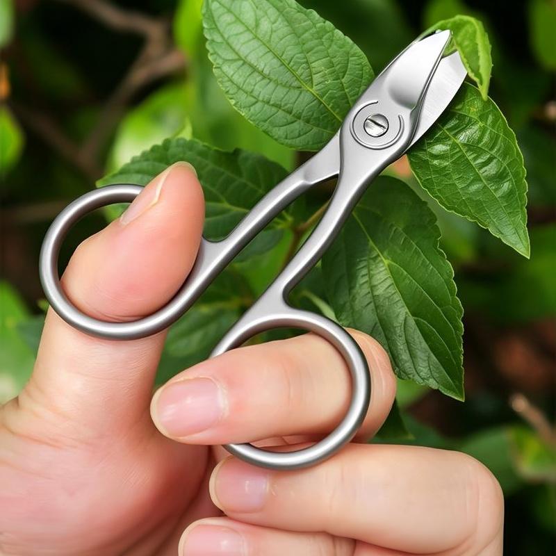1Pcs Nail Cutter Scissors Professional Pedicure Fingernail Toenail Clipper Eyebrows Eyelash Multi-Purpose Curved Blade Manicure