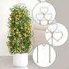 2 Pack Climbing Plant Trellis, Garden Support, for Hoya Flowers