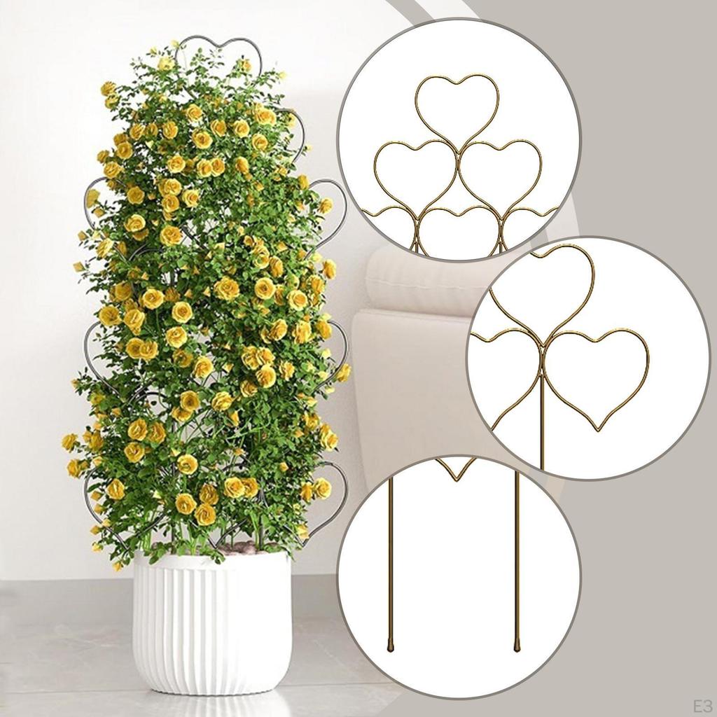 2 Pack Climbing Plant Trellis, Garden Support, for Hoya Flowers