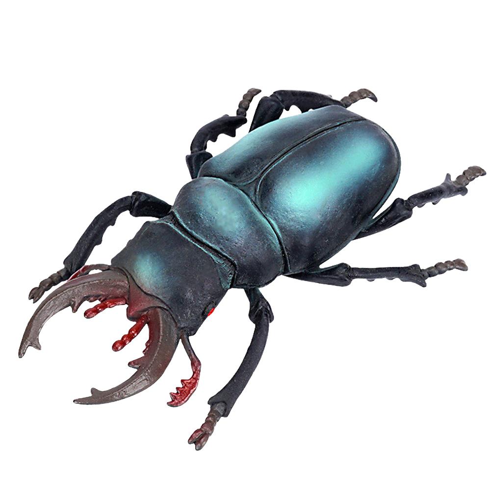 Wild Large Insects Realistic Spider Scorpion Dragonfly Beetle Models - Educational Toys For Kids Gifts For Kids Adults Children's Birthday Gift