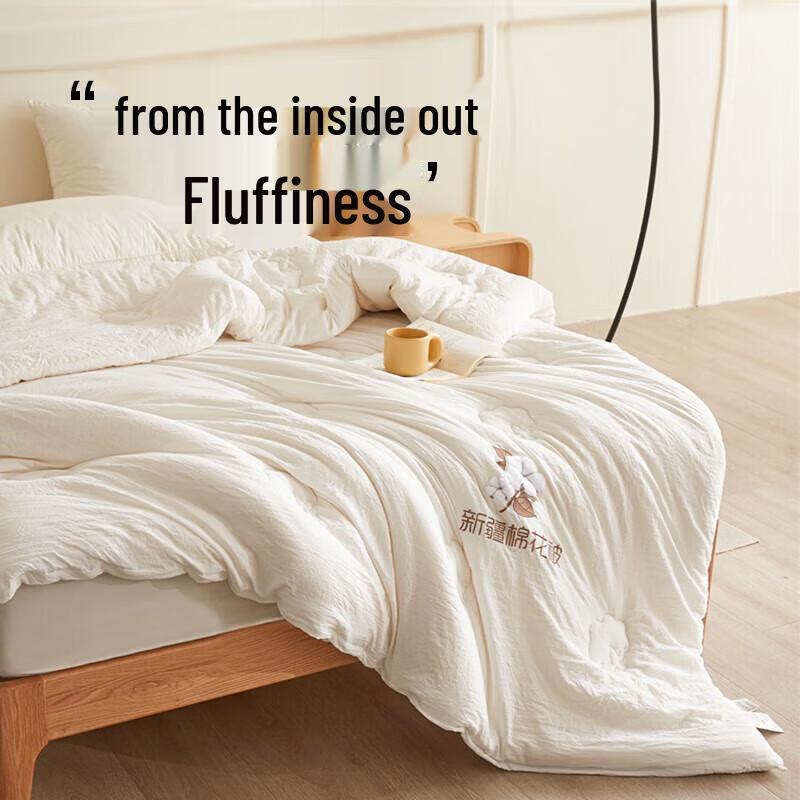 ANCHOW Soft Core All-Season Quilt