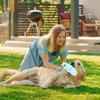 Dog Chew Toys Slipper Shape Puppy Chewer Boredom Play Care Cleaning Small Dog Toy Fetch Indoor Outdoor