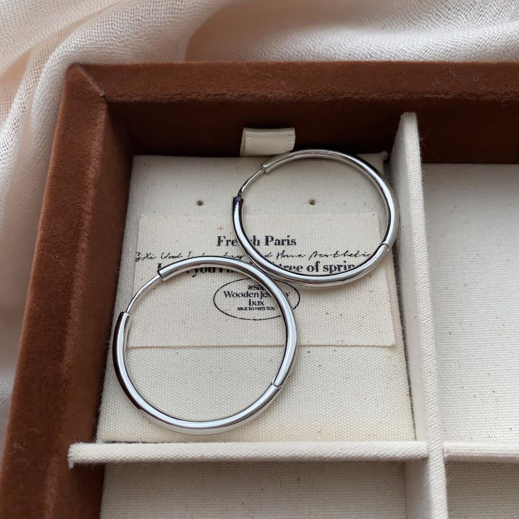 Metal Exaggerated Circle Earrings Women'S Wind Cold Wind Simple Earrings Niche Design Sense Personalized Earrings