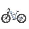 Bicicletta elettrica sportiva SYR09 motore doppio da 2000W, 48V20Ah, ruota integrata con pneumatico spesso 26 * 4.0mm con telaio in lega di alluminio bicicletta elettrica