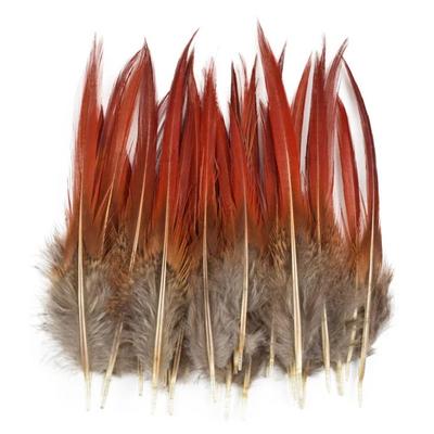 40/48Pcs Assorted Natural Feathers Bulk Long Big Feathers Peacock Feathers 6 Styles Unique Pattern Pheasant Plumage