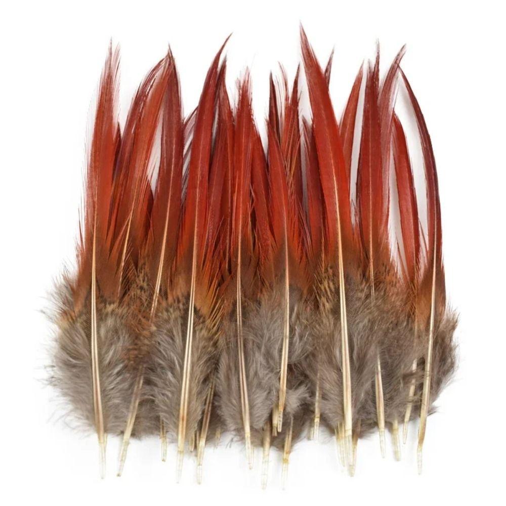 40/48Pcs Assorted Natural Feathers Bulk 6 Styles Peacock Feathers Pheasant Plumage  DIY Crafts