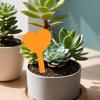 100Pcs Heart Shape Plant Tags Waterproof Gardening Labels Reusable Plastic Plant Markers for Plant Pots Flower Beds Herb Gardens
