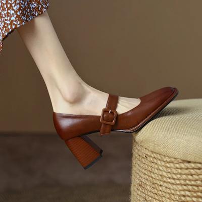 Coarse Heel 2024 New Shallow High Heels Brown Shoes Retro Single Shoes for Women