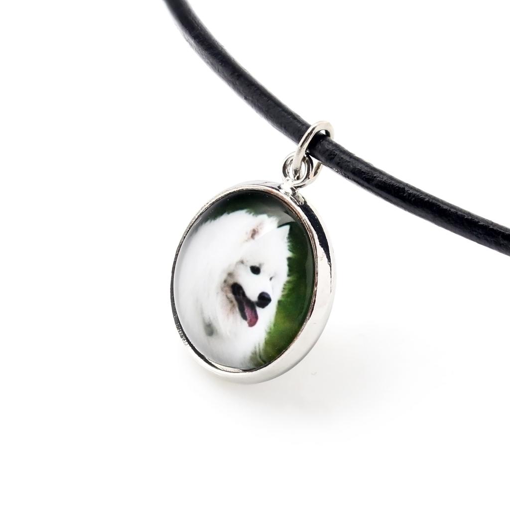 Samoyed, Bjelkier, Samoiedskaya Sobaka – A set of jewelry in a box, necklace | Art-Dog