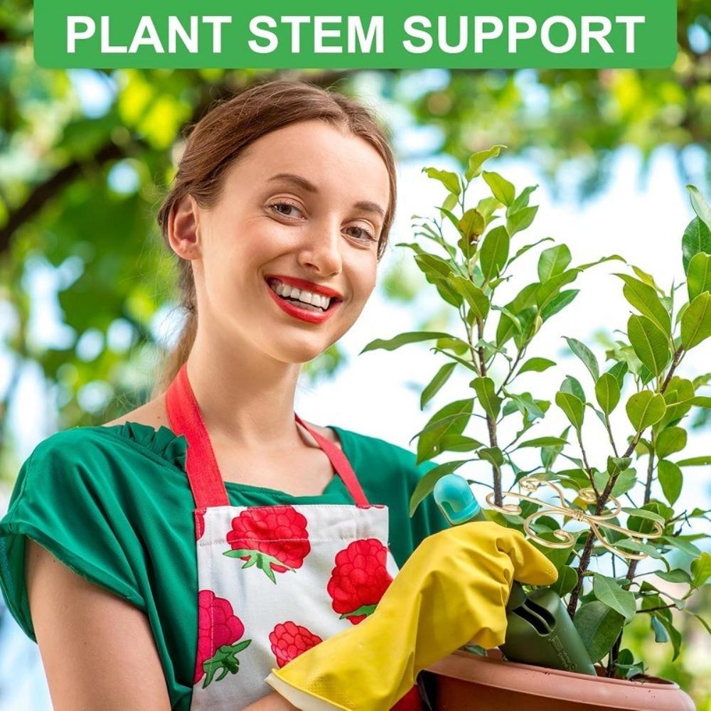 Iron Climbing Houseplant Stem Supports Heart Shape Garden Trellis  Plants Growth Accessories