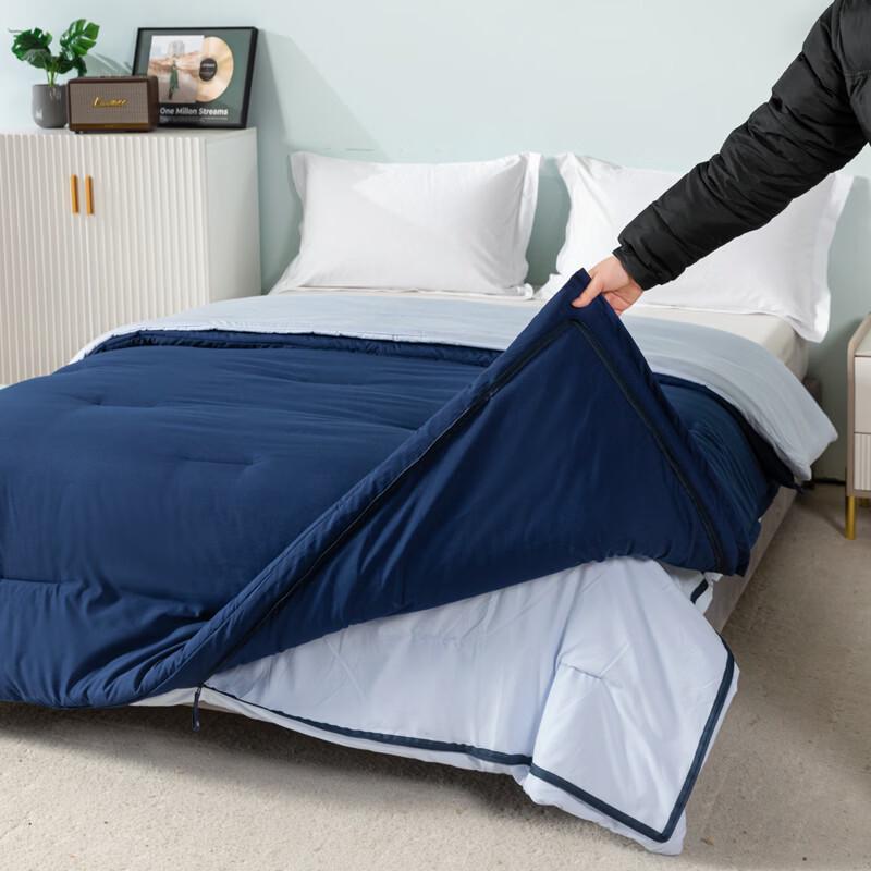 Guroo Home Textile Skin-Friendly 2-in-1 Four Seasons Duvet