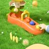 Ball Drop Toys for Toddler Montessori Stacking Tower Toy Baby Development Games Educational Learning Activity Birthday Gift