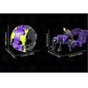 3.7cm Deformed Egg Hyper Dragonoid Battle GameToy