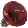 Zensui Strong Infrared Heat 60W Lamp, (x 1)
