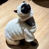 Cosplay Pecora Vestiti Gatto Fantasia Divertente Outfit Gatto Felpe Costume Animale Domestico Chat Travestimento Maglione Animali Accessori