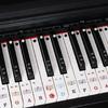 88 61 54 Tasters Piano Keyboard Klistremerker Avtakbare Keyboardetiketter med Notelinjer for Nybegynnere Enkel Installasjon