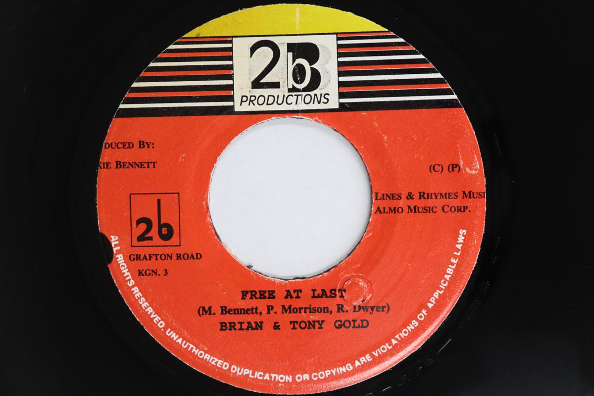 

7inch Record BRIAN TONY GOLD 2B CREW Free At Last Freedom Vibe NONE 2b Productions Jamaica Reggae Ska Dub Used