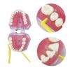 Care Kit Detachable Toothbrush with Interdental Brush Tongue Scraper Reusable Oral  Set For Home Office Travel