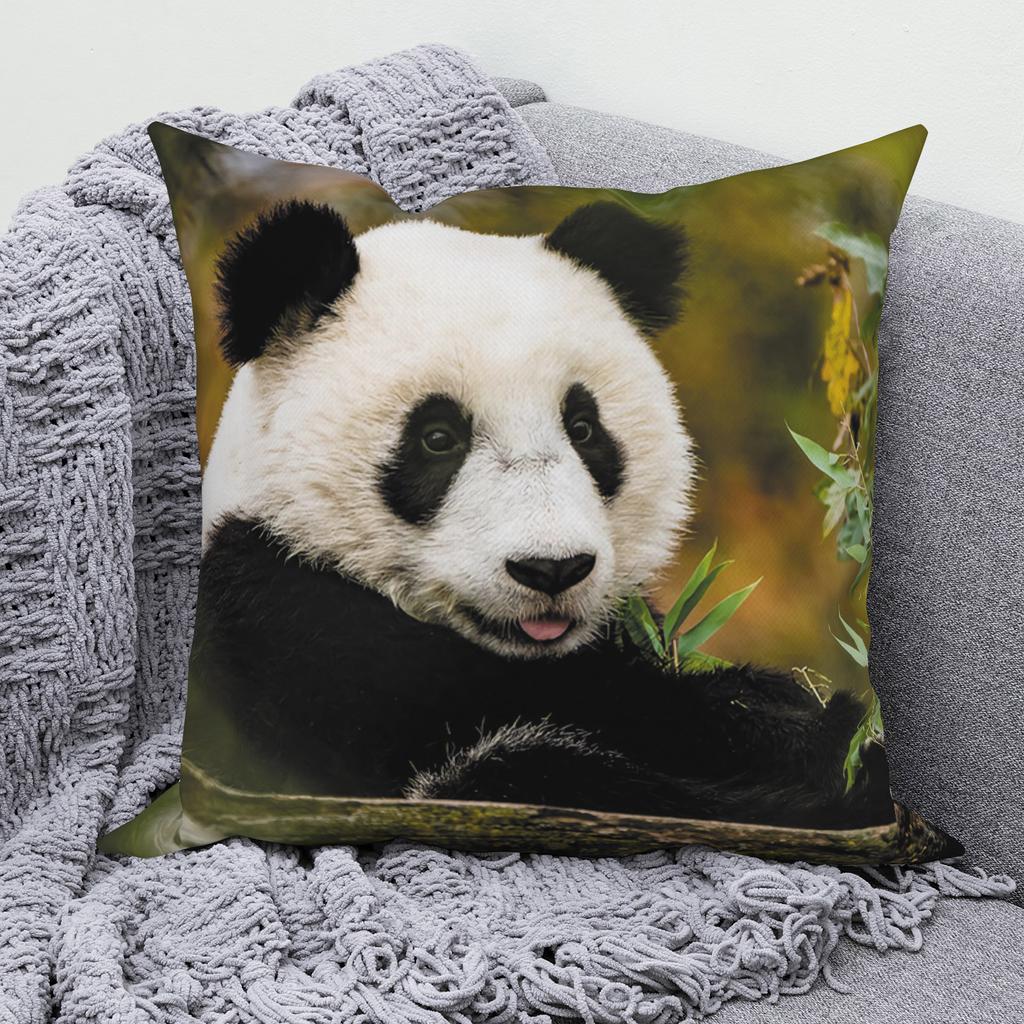 Cute Panda Animal Pattern Cushion Cover for Home Living Room Sofa Bedroom Decoration Square Pillow Cover